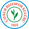 BuluTT53
